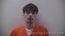 Mugshot of IRLAS LUIS