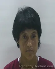 Mugshot of OLVERA GRISELDA
