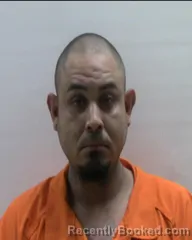 Mugshot of RAMIREZ ERMELO