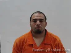 Mugshot of GARCIA MARCELINO