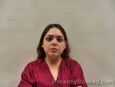 Mugshot of PEREZ MARISOL