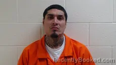 Mugshot of ELIAS DAVID