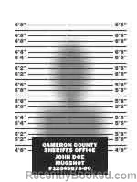 Mugshot of RODRIGUEZ JESUS