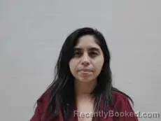 Mugshot of GAONA GABRIELA