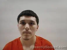 Mugshot of DELEON JESUS