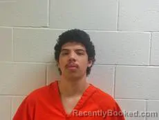 Mugshot of ANDRADE IBARRA LUIS booked in Cameron County, Texas on March 6, 2026