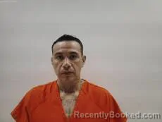 Mugshot of PARAMO DAVID