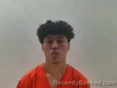 Mugshot of Narvaez Alejandro