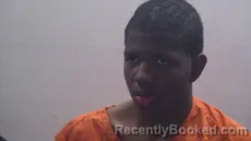 Mugshot of Brown Savian