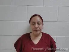 Mugshot of TORRES ZAVALA ARACELY booked in Cameron County, Texas on March 17, 2026