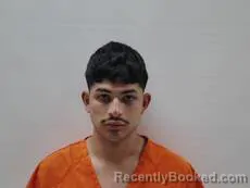 Mugshot of MARTINEZ VINCENT booked in Cameron County, Texas on March 18, 2026