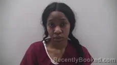 Mugshot of JOHNSON SAMAYA booked in Cameron County, Texas on March 19, 2026