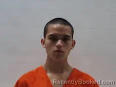 Mugshot of HERRERA ALEJANDRO booked in Cameron County, Texas on March 20, 2026