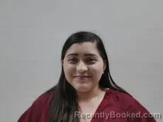 Mugshot of SALINAS ASHLEY VIANEY booked in Cameron County, Texas on March 21, 2026