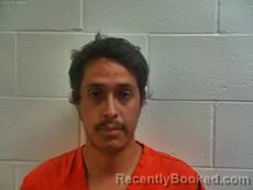 Mugshot of FLORES LUIS ENRIQUE booked in Cameron County, Texas on March 24, 2026