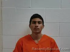 Mugshot of DOMINGUEZ DIAZ BRYAN booked in Cameron County, Texas on March 24, 2026