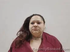 Mugshot of ARRIAGA AYALA ANNA LILIA booked in Cameron County, Texas on March 24, 2026