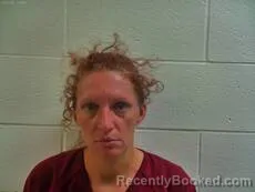 Mugshot of Meyers Alicia booked in Cameron County, Texas on March 25, 2026