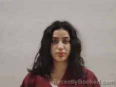 Mugshot of ORTIZ ESTRADA STAR booked in Cameron County, Texas on March 27, 2026