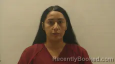 Mugshot of GONZALES JEANELL VICTORIA booked in Cameron County, Texas on March 28, 2026