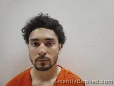 Mugshot of DE LEON LEONEL booked in Cameron County, Texas on March 31, 2026