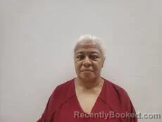 Mugshot of MCCALL DENISE ALICIA booked in Cameron County, Texas on March 31, 2026