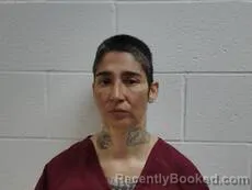 Mugshot of SALINAS JESSICA booked in Cameron County, Texas on April 2, 2026