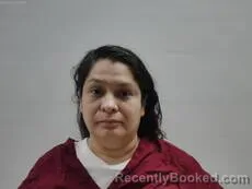 Mugshot of GARCIA ROXANNE booked in Cameron County, Texas on April 20, 2026