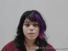 Mugshot of SANCHEZ BRIDGET LYNN booked in Cameron County, Texas on April 27, 2026