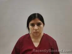 Mugshot of OLVERA JAQUELINE booked in Cameron County, Texas on May 12, 2026