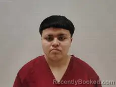 Mugshot of VARGAS NATALIE GABRIELLA booked in Cameron County, Texas on May 13, 2026