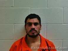 Mugshot of MONTALVO MARIO booked in Cameron County, Texas on May 19, 2026