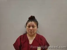 Mugshot of ANIMAS JASSO NERY YEREDIA booked in Cameron County, Texas on May 21, 2026