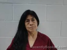 Mugshot of MARTINEZ ELENA HERRERA booked in Cameron County, Texas on May 21, 2026
