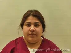 Mugshot of TORRES JOHANA ITZEL booked in Cameron County, Texas on May 26, 2026
