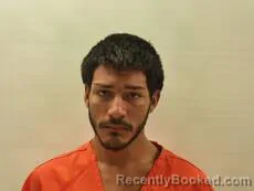 Mugshot of AVENDANO RICARDO MANUEL booked in Cameron County, Texas on May 28, 2026
