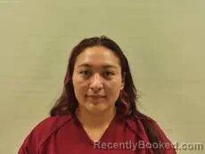 Mugshot of REESE TINAYA TSIIHI booked in Cameron County, Texas on June 3, 2026