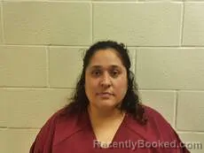 Mugshot of HENRIQUEZ FRANCISCA CAMARILLO booked in Cameron County, Texas on June 4, 2026