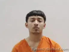 Mugshot of AGUILAR DOMINGO GEE booked in Cameron County, Texas on June 15, 2026