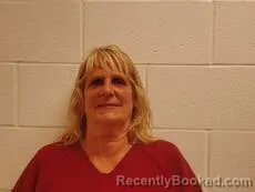 Mugshot of SPRINGER VOLINSKY SHEILA ANNE booked in Cameron County, Texas on June 24, 2026