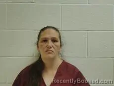 Mugshot of RAMIREZ MARY ELIZABETH booked in Cameron County, Texas on June 26, 2026