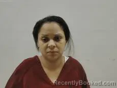 Mugshot of LEE TASHA RAE booked in Cameron County, Texas on July 5, 2026
