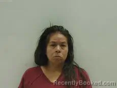 Mugshot of ZEEDAR NINA MAE booked in Cameron County, Texas on July 5, 2026