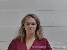 Mugshot of STELLY DANICA booked in Cameron County, Texas on July 10, 2026