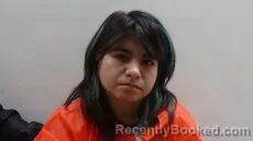 Mugshot of VILLARREAL JESSICA RENEE booked in Cameron County, Texas on July 10, 2026