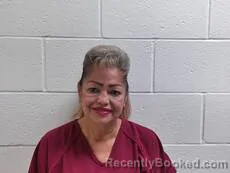 Mugshot of SANCHEZ VIRGINIA booked in Cameron County, Texas on July 10, 2026