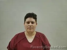 Mugshot of SIERRA VIVIANA booked in Cameron County, Texas on July 13, 2026