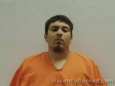 Mugshot of ALVARADO DAVID booked in Cameron County, Texas on July 15, 2026