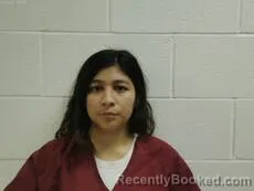 Mugshot of ROQUILLO RUZ MCHEL I booked in Cameron County, Texas on July 22, 2026