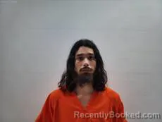 Mugshot of Torres Pedro Luis booked in Cameron County, Texas on August 11, 2026